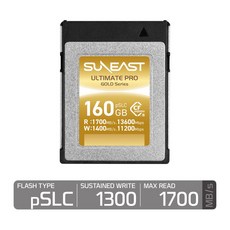 선이스트 정품 얼티메이트 프로 골드 pSLC CFexpress Type B 160 GB 기가, 1개