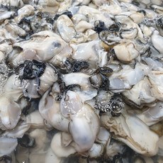 천광수산 제철 통영 생굴1kg(실중량800g내외)