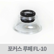포커스루페