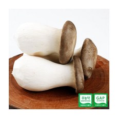 호산목장 신선채소 새송이버섯 2kg 상품, ONE COLOR, ONE SIZE