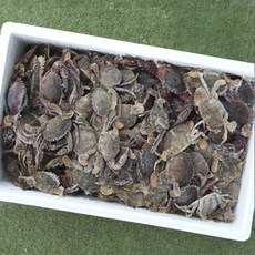 더꽃게 돌게장용 냉동 돌게 박하지, 1개, (국산) 돌게 소 5kg