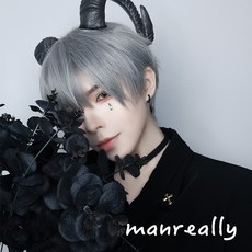 BLAVALLEY 남자가발 멋진 짧은 생머리 패션 통가발G6, 사진색