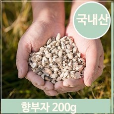 향부자
