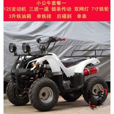 ATV 4륜 구동 오프로드 산악 지형 가솔린 자동 변속기, 리틀불패키지1