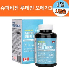 토스카슈퍼비전