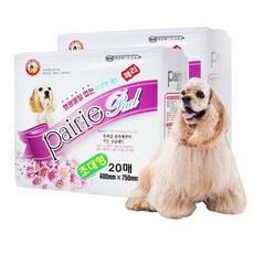 청평페리
