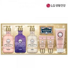 엘지 생활건강 명절 설 LG 샤워만으로 완성하는 홈 스파 벨먼39호