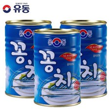 꽁치지마