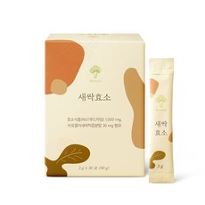 오늘도 새싹효소 브로콜리새싹 설포라판, 90g, 2박스