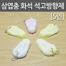 석고만들기체험