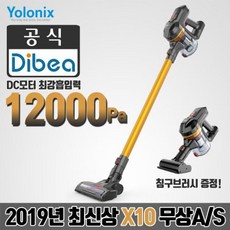 디베아x20