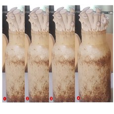  느타리 버섯 배지 4개 키우기 재배 키트 배양 종균 친환경 농장 무농약 키드 집에서 아이와함께 버섯 기르기 학교 놀이방 어린이집 유치원 복지관 자연 체험학습 참나무톱밥 대량주문문의 