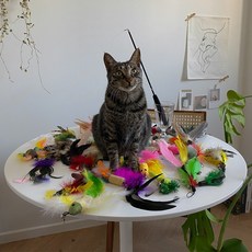 고양이스프링양모볼낚시대장난감