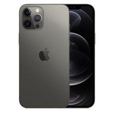 아이폰12프로 iPhone 12 Pro 공기계 자급제, 그래파이트, 256GB