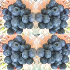 8468fe8a12ce2ec18ceb9b1ef941a78f99d28b5d15edb7745a08fdc7fb35.png