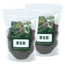 순하당 국산 뽕잎환 (상엽), 300g, 2개