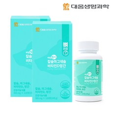 dreamtech제철제망간