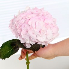434f75096b05f61aeabb58f5a6e7d75fb1cb0351bb9662602f78172819b6.jpg