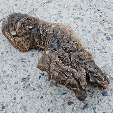  JIF인조코르크튜브 점보 A타입 초특대, 1개 