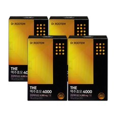 닥터루템 THE 맥주효모 4000