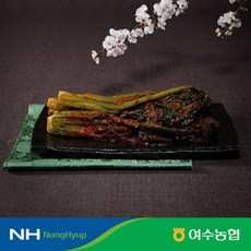 [쇼핑엔티] 여수농협 돌산갓김치 2kg+2kg