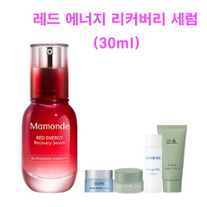 마몽드레드에너지