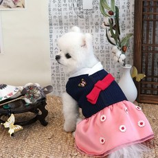 패리스독단아한복