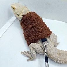 파충류 비어디드래곤 가슴줄 야외 산책 하네스 크레스티드 게코 도마뱀 애완동물 옷, 브라운(테디벨벳) 1.8m 가슴줄 포함, 1개