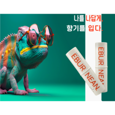 고체향수 내추럴데이 에버닌 휴대용 스틱 니치향수 페로몬, 로맨틱시티, 1개, 10g - 에버닌고체향수