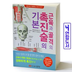 근육과골격의촉진술의기본(그림으로이해하는인체이야기)