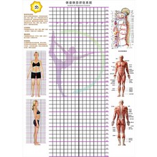 체형분석스크린