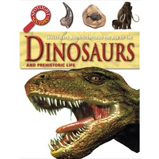 Dinosaurs and Prehistoric Life Paperback, Brown Bear Books