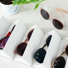 5단안경케이스