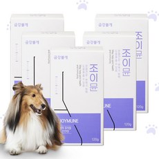  강아지 관절 영양제 애견 반려견 슬개골 탈구 영양제, 관절&뼈 건강, 5개, 연어&오리 혼합 