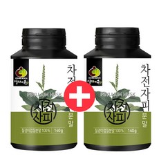 식이섬유 차전자피 분말 수용성 차전자피가루 질경이 차전자피차 질경이껍질 차전자피파우더 140g2통, 단일상품, 단일상품