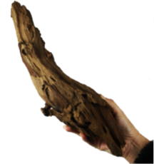 안핑크 맹그로브 유목 사이즈 중 30cm~40cm