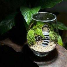 어포레스트 숲속의집 테라리움 이끼 정원 만들기 DIY, 1개