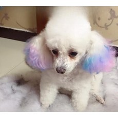 강아지염색제 반려견 염색 머리 펫 전용 고양이 염색제 모발 염료 애완용, 다크브라운60g, 1개