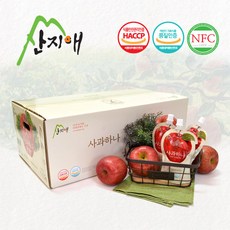 산지애 사과원액주스 60팩 사과즙 10...