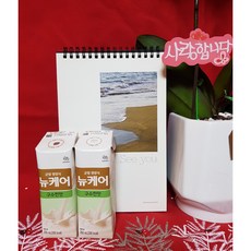 뉴케어미니구수한맛64팩