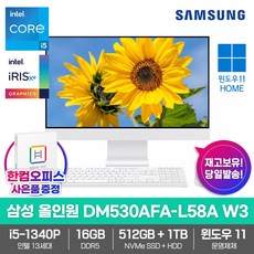 삼성전자 일체형PC 올인원 DM530AFA-L58A W3 16GB/SSD512GB/HDD1TB/13세대i5/Win11/한컴오피스증정 고성능 업무용 데스크탑