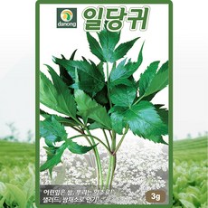 다농 일당귀 씨앗 3g 당귀씨 약초 종자, 1개