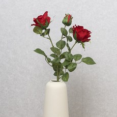 e8d562d5d531166de0ac4dc03ce6914b555ebd7b731111d2dfe166ac05ae.jpg