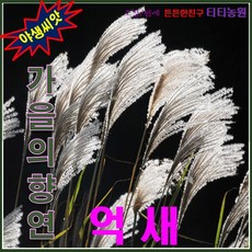 9815a644404eb5756628782c7ebb97000621860f52ada0225072e8d92bbc.png
