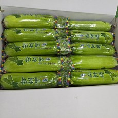 국내산 애호박 인큐애호박(특)10 20개입 BOX, 특, 10개입, 참여