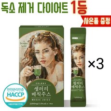 디톡스3일