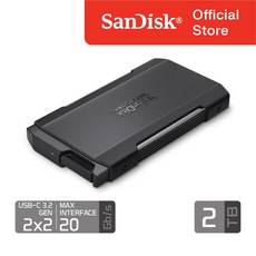 샌디스크 프로페셔널 정품 프로 블레이드 트랜스포트 2 TB 테라 SDPM2NB