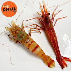 도화새우