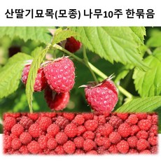 8427a5e0857601f438f7c6f36ef12a953bba22b43c667904d9b9d7f2cbb5.jpg