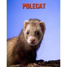 Polecat: Fun Facts & Cool Pictures Paperback, Independently Published